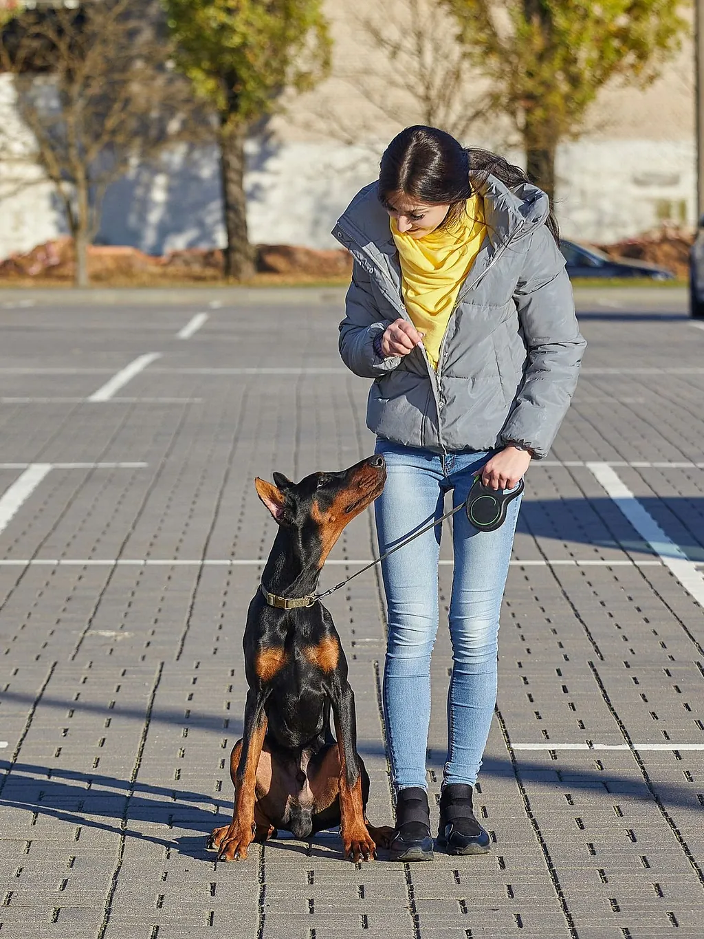 educación canina