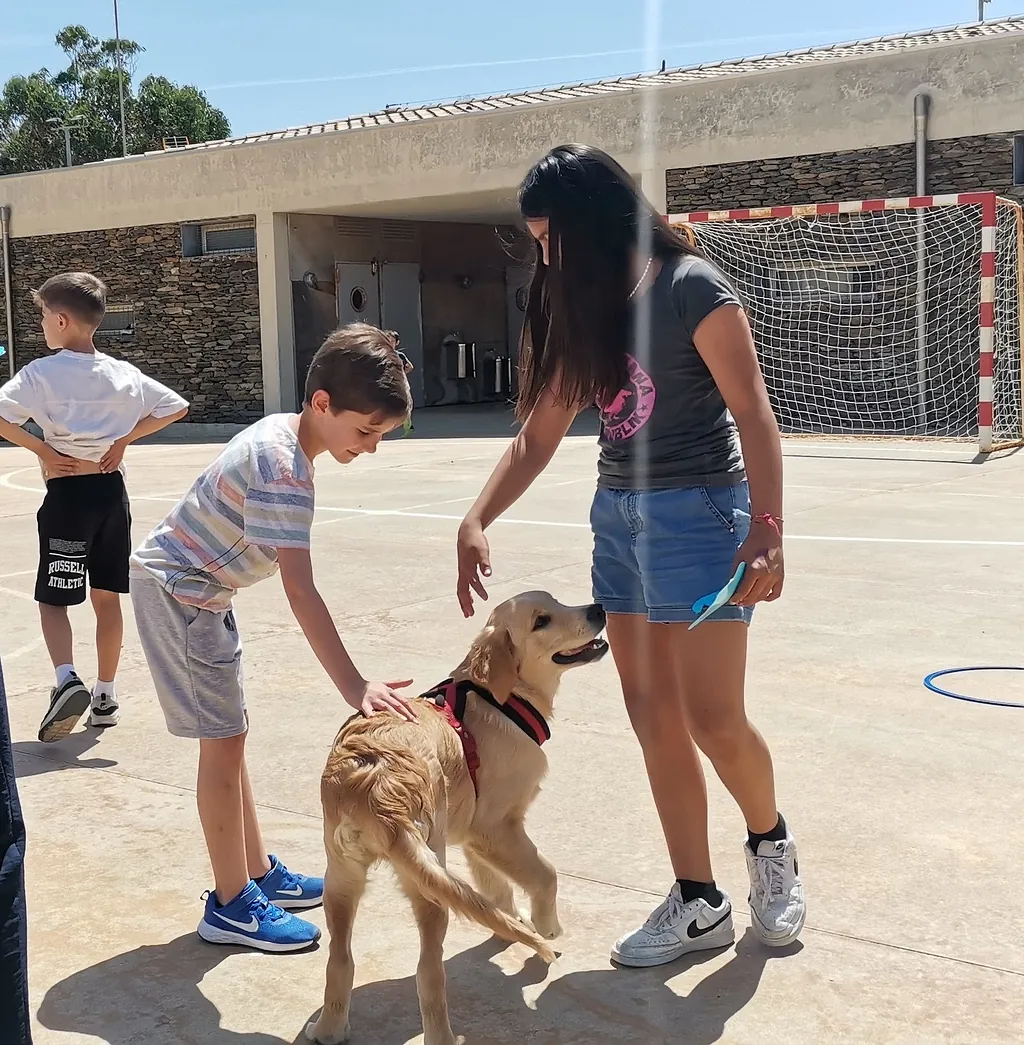 educación canina