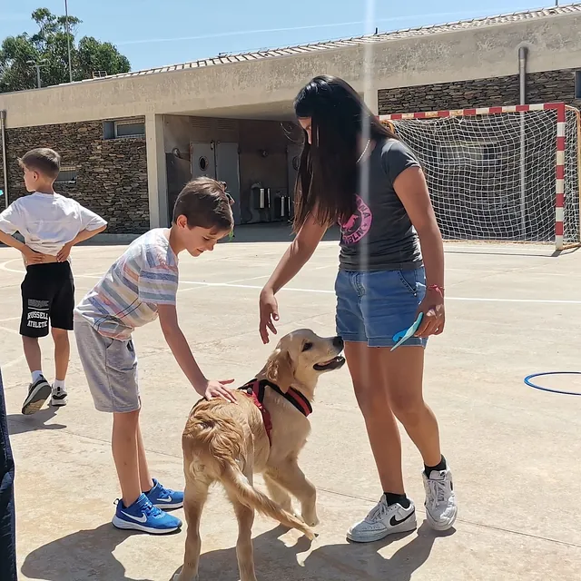 educación canina