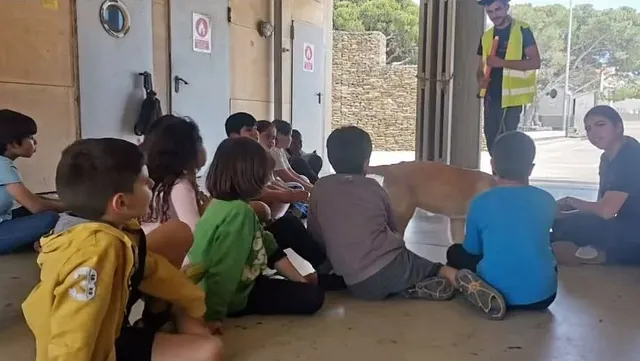 educación canina